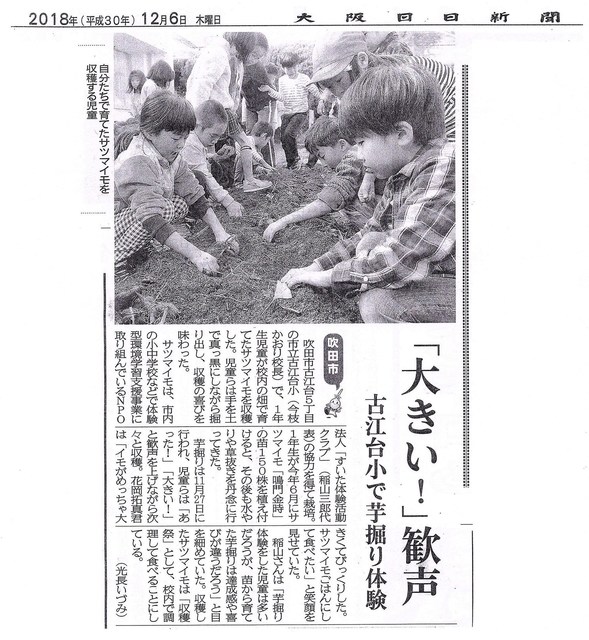 大阪日日新聞2018.12.6サツマイモ掘り.jpg